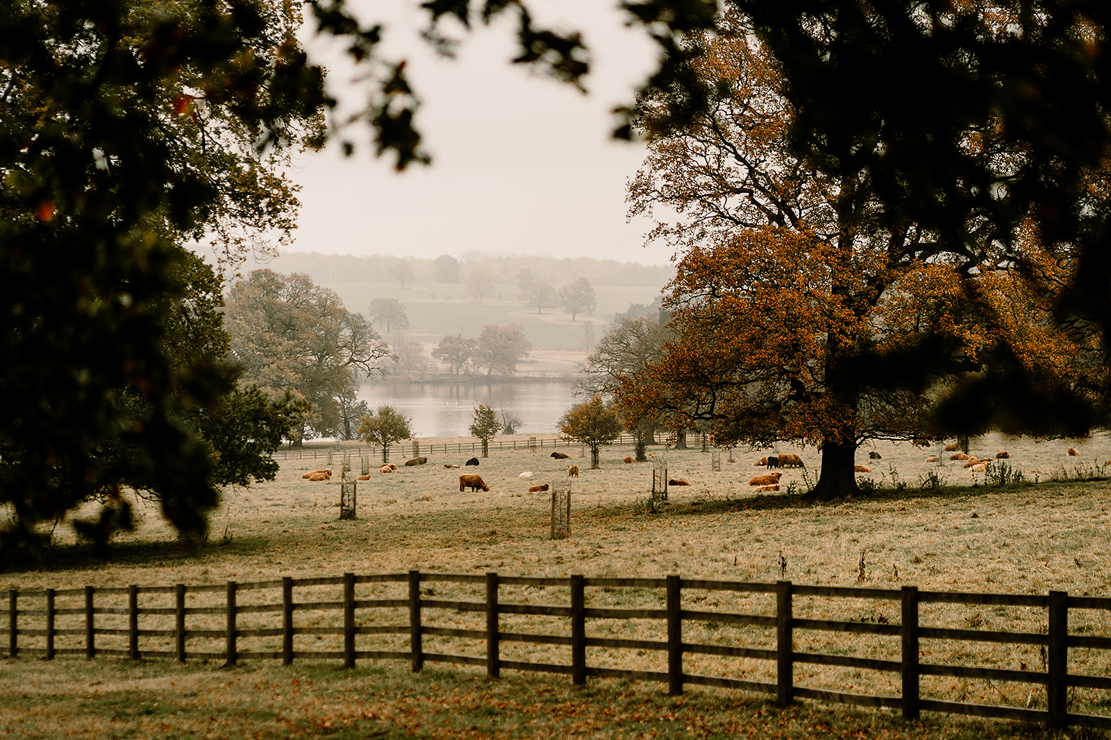 the hovels